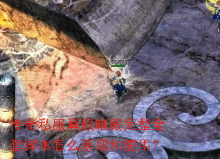 传奇私服真假暗殿完整全套脚本怎么获取和使用？