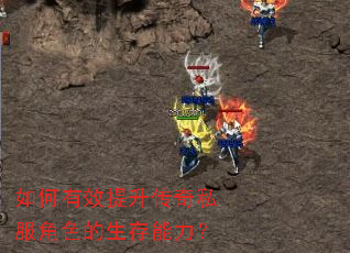如何有效提升传奇私服角色的生存能力？