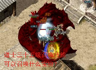 道士三十五级召唤技能可以召唤什么宝物？