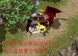 传奇玩家在升级过程中不可忽视的要点有哪些？