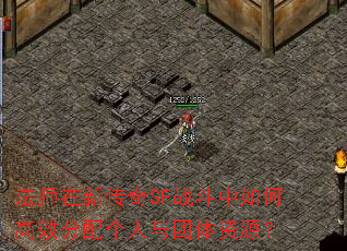 法师在新传奇SF战斗中如何高效分配个人与团体资源？