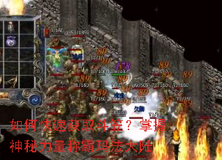 如何快速获取斗笠？掌握神秘力量称霸玛法大陆