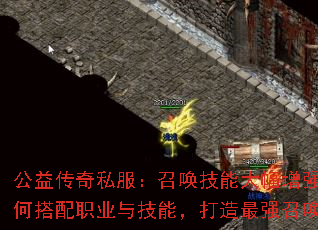 公益传奇私服：召唤技能大幅增强，如何搭配职业与技能，打造最强召唤流？