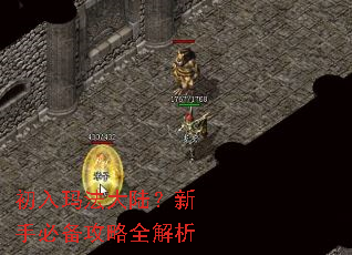 初入玛法大陆？新手必备攻略全解析