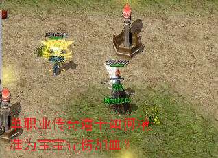 单职业传奇道士如何精准为宝宝疗伤加血？