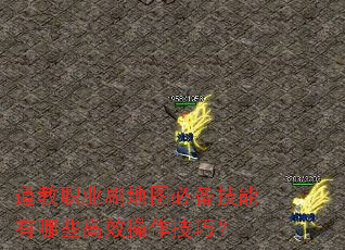 道教职业刷地图必备技能有哪些高效操作技巧？