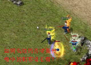 如何高效培养精英传奇中的刺客骨石兽？