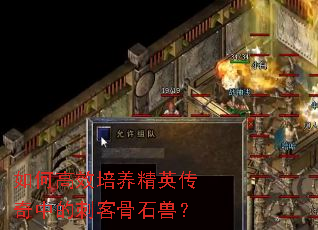 如何高效培养精英传奇中的刺客骨石兽？