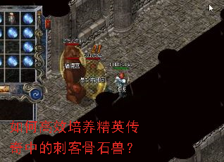 如何高效培养精英传奇中的刺客骨石兽？