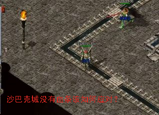 沙巴克城没有血条该如何应对？