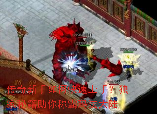 传奇新手如何快速上手？独家秘籍助你称霸玛法大陆