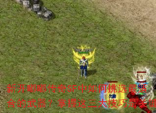 新开嘟嘟传奇SF中如何挑选最适合的武器？掌握这三大技巧是关键