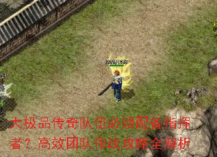 大极品传奇队伍必须配备指挥者？高效团队作战攻略全解析