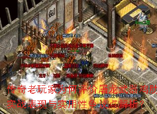 传奇老玩家为何评价屠龙武器鸡肋实战表现与实用性争议点解析？