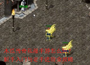 木瓜传奇私服手游怎么玩？新手入门与老手进阶全攻略