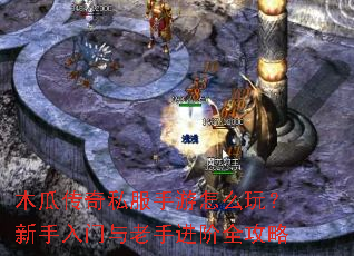 木瓜传奇私服手游怎么玩？新手入门与老手进阶全攻略
