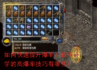 如何快速提升爆率？新手必学的高爆率技巧有哪些？