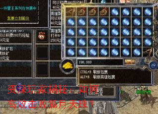 资深玩家揭秘：如何高效击败狐月天珠？