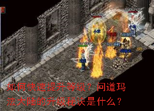 如何快速提升等级？问道玛法大陆的升级秘诀是什么？