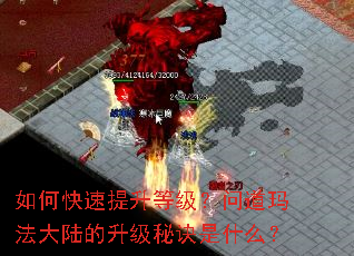 如何快速提升等级？问道玛法大陆的升级秘诀是什么？