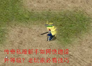 传奇私服新手如何快速提升等级？老玩家必看技巧