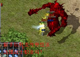 新手玩轻变传奇应该选择战士职业吗？