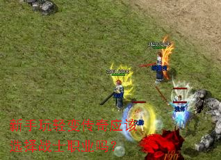 新手玩轻变传奇应该选择战士职业吗？