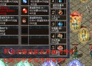 野蛮冲撞技能在热血传奇BOSS战中的实际作用如何？