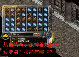 热血传奇私服神兽如何升级变身？技能有哪些？