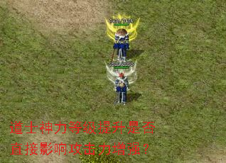 道士神力等级提升是否直接影响攻击力增强？