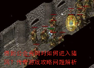 遇到公会合同时如何进入猪洞？传奇游戏攻略问题解析