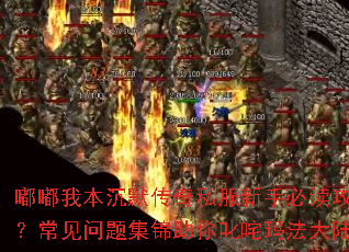 嘟嘟我本沉默传奇私服新手必读攻略？常见问题集锦助你叱咤玛法大陆