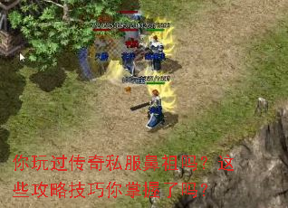 你玩过传奇私服鼻祖吗？这些攻略技巧你掌握了吗？