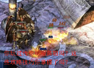 你玩过传奇私服鼻祖吗？这些攻略技巧你掌握了吗？