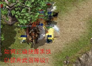 如何正确抉择黑铁以提升武器等级？