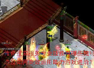 传奇搜索服务专业技能有哪些独特特点及如何高效运用助力游戏进阶？