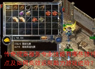 传奇搜索服务专业技能有哪些独特特点及如何高效运用助力游戏进阶？