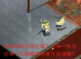 如何攻略沧海之婚？沧海一木与沧海一花的婚礼传奇任务详解？