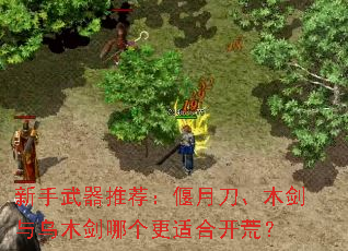 新手武器推荐：偃月刀、木剑与乌木剑哪个更适合开荒？