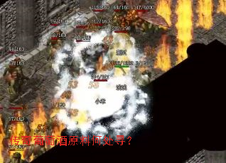 传奇葡萄酒原料何处寻？