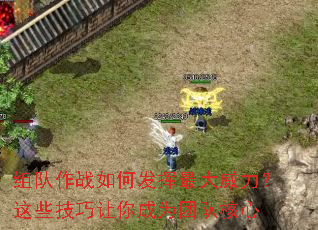 组队作战如何发挥最大威力？这些技巧让你成为团队核心