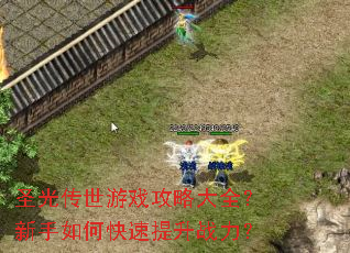 圣光传世游戏攻略大全？新手如何快速提升战力？
