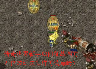 传奇世界新手如何征战四方？倍攻玩法怎样再造巅峰？