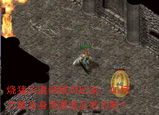 烧猪洞遭遇敌对玩家，如何才能全身而退或反败为胜？