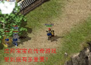 法师宝宝在传奇游戏里到底有多重要？