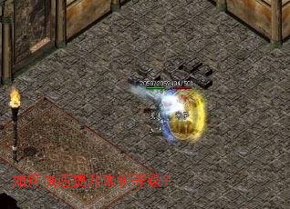 如何快速提升朱雀等级？