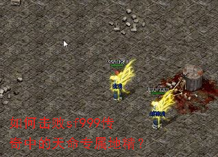 如何击败sf999传奇中的天命专属地精？