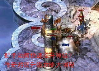 新手如何快速提升等级？传奇游戏升级攻略大揭秘