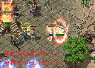 如何快速提升Hero引擎传奇私服角色等级？