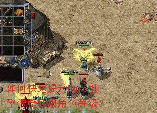 如何快速提升Hero引擎传奇私服角色等级？